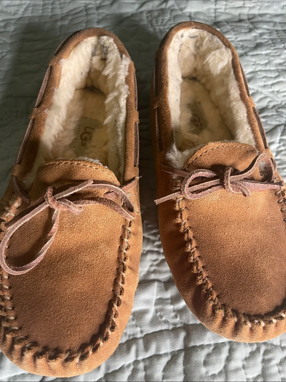 Chestnut Suede UGG slippers